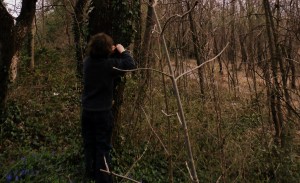 enfant qui touche un arbre