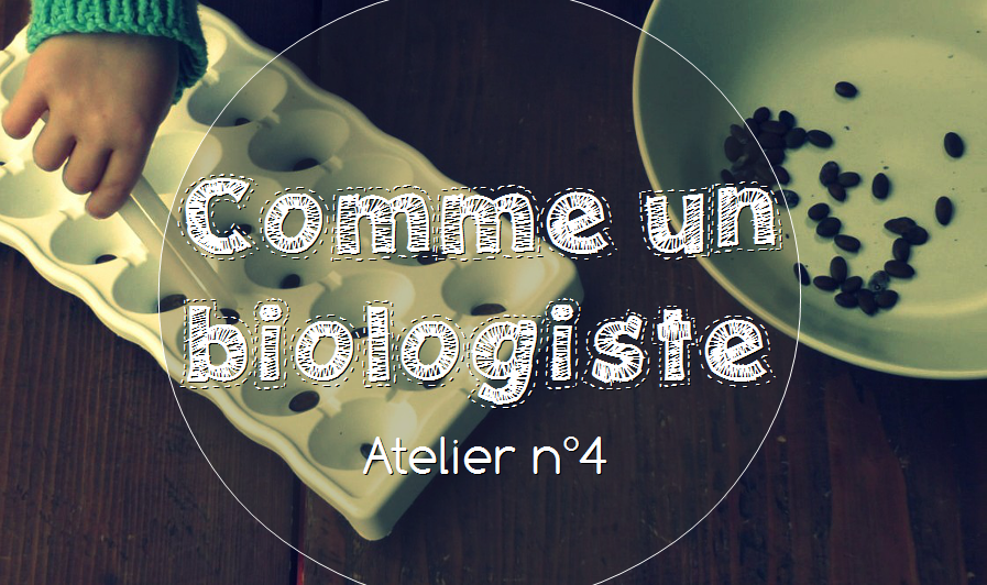formation-petite-enfance