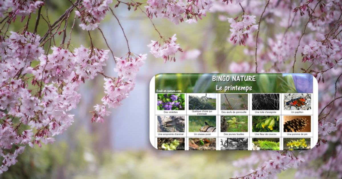 Jeu De Bingo Nature Le Printemps Eveil Et Nature