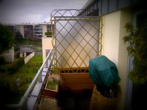 osier-sur-balcon