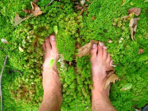 pieds-nus-dans-la-mousse