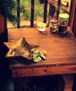 table de la nature montessori