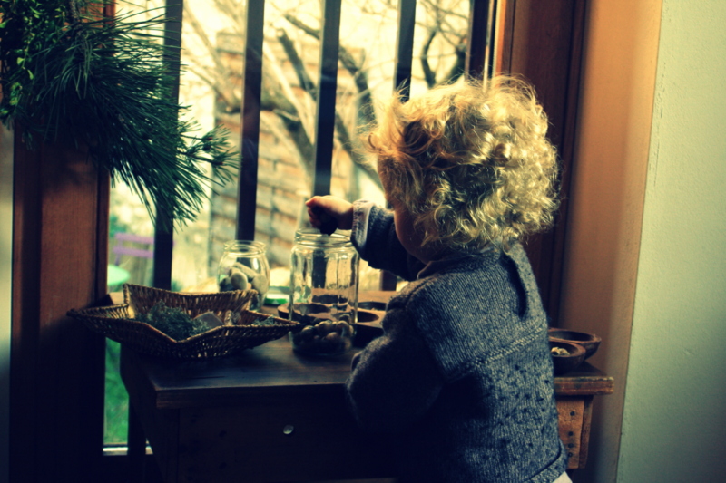 table d'observation de la nature