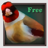 Birdquiz_Free