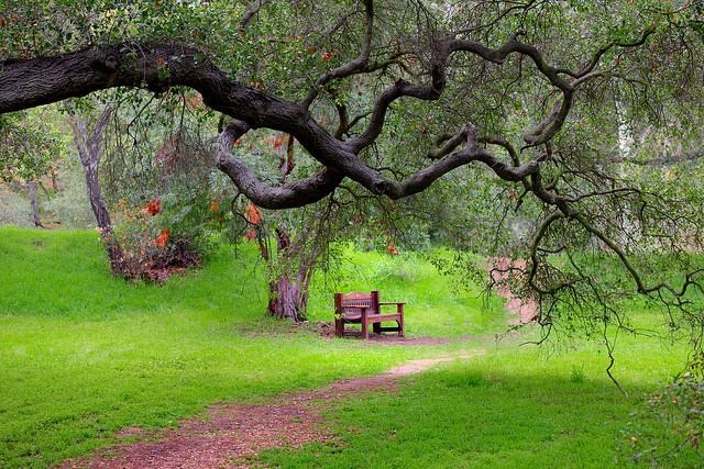 sit-spotting