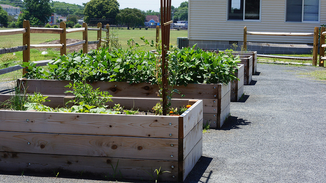 jardin-ecole