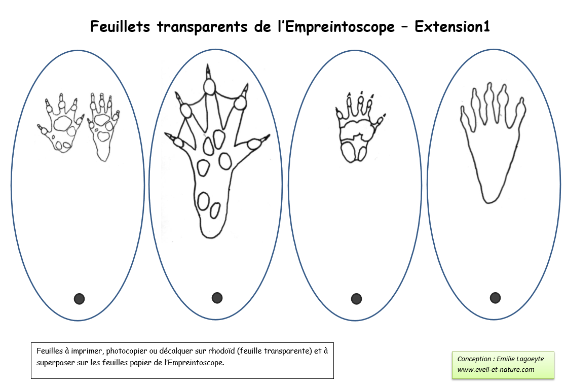 empreintes-animaux-transparent
