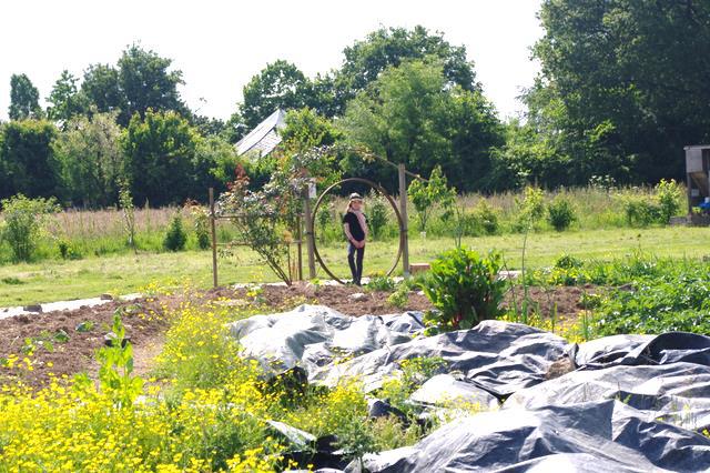 potager