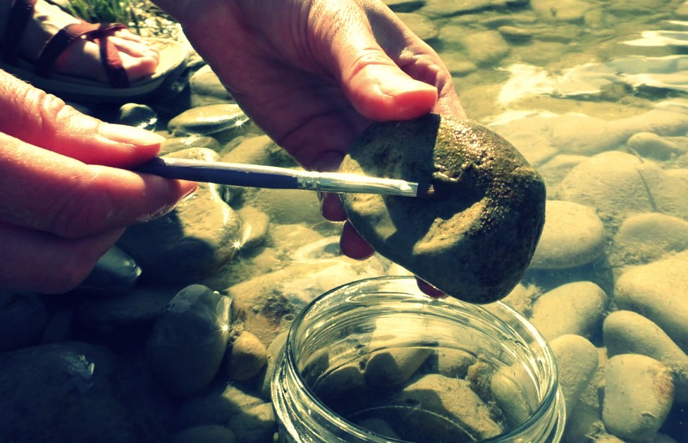 qualite-eau-riviere-petite-bete