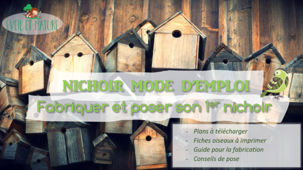 Nichoir mode d’emploi: fabriquer et poser son premier nichoir – Eveil