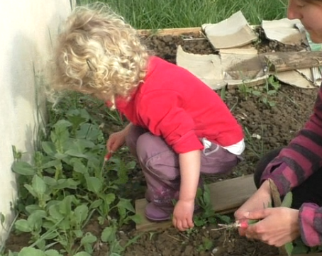 Jardiner Avec Les Enfants (1/3) – Eveil Et Nature