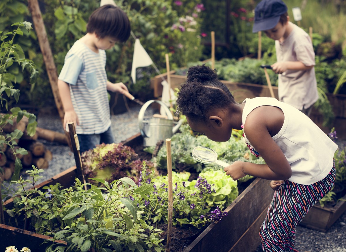 ecole-jardin1