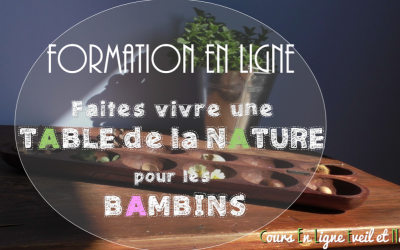 formation-en-ligne-eveil-nature