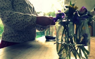 table-nature-cueillette-001